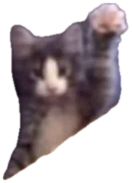 Kitten peeking over a chair with a raised paw captioned 'I have a bomb' sticker