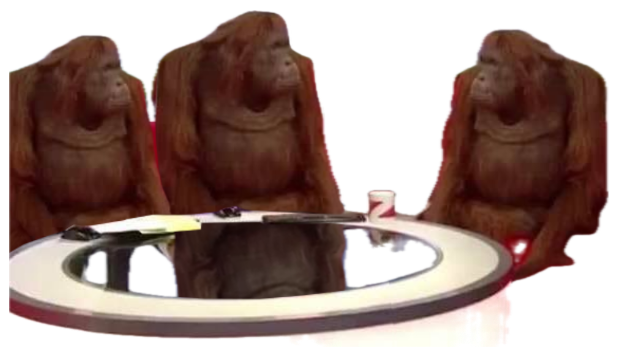 Three orangutans sitting around a news desk looking utterly unbothered sticker
