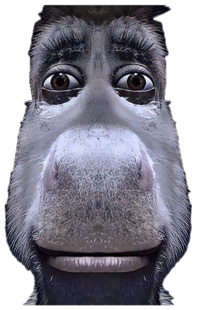 Fisheye close-up of a wide-eyed cartoon donkey looking startled and nervous sticker