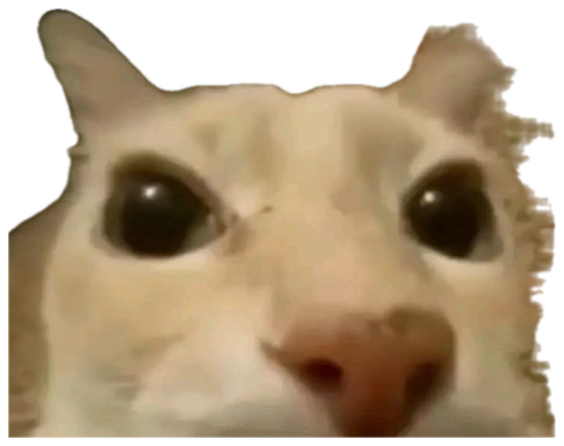 Close-up cat with a blank empty stare captioned '*steals your balls*' sticker
