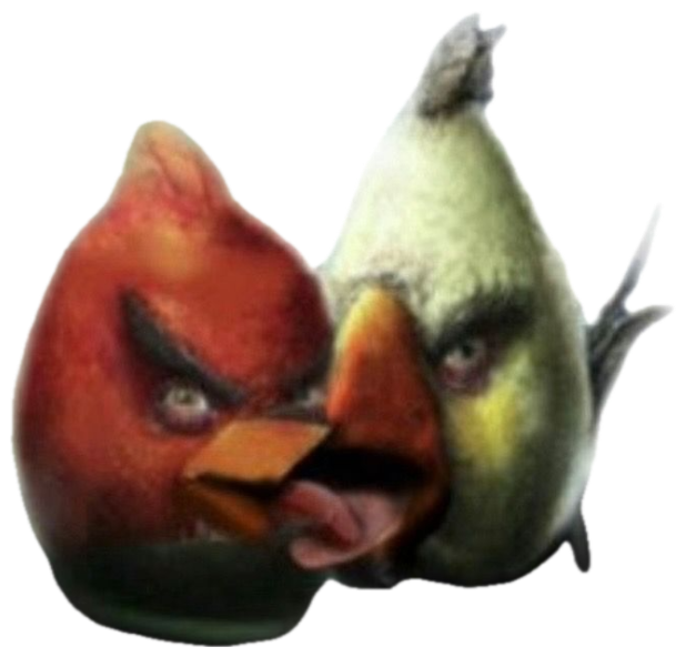 Hyper-realistic Angry Birds Red and Matilda staring down with pure menace sticker