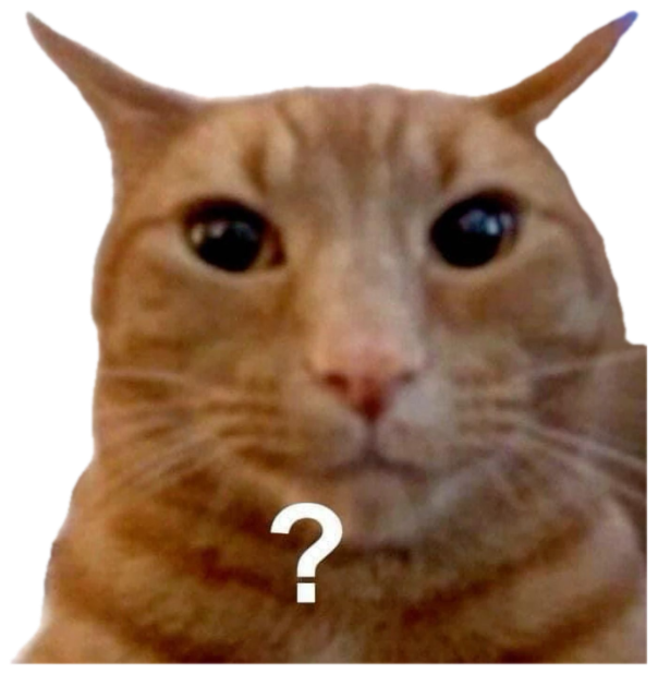 Orange cat staring blankly at the camera with a single question mark below its face sticker