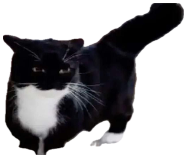 Tuxedo cat stalking forward, captioned 'shut fuck your up' sticker