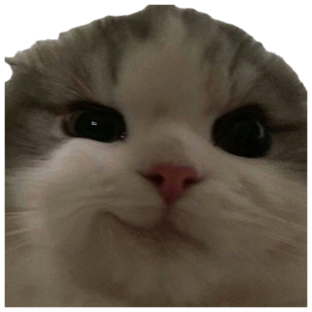 Fluffy kitten filling the frame up-close with big dark eyes and a coy little smile sticker