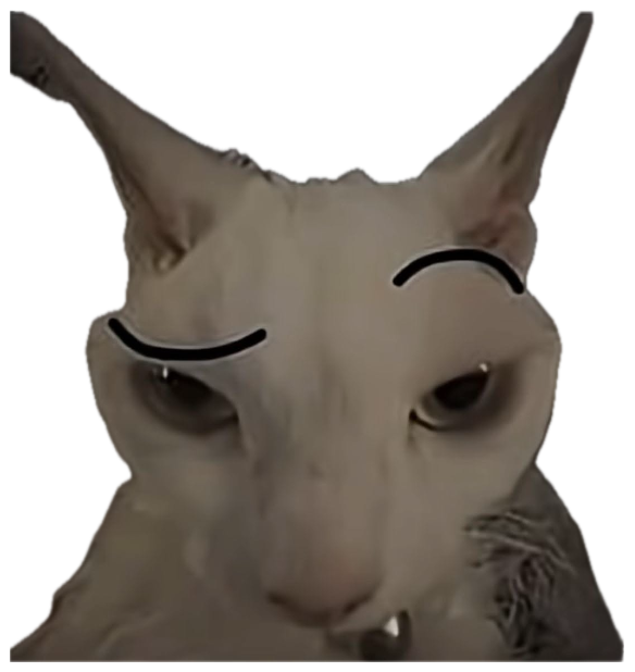 White cat with drawn-on eyebrow arches giving a deadpan smug stare, captioned 'I'm not even playing cards, yet somehow I pulled a queen' sticker