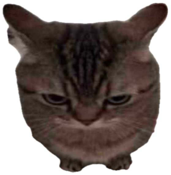 Grumpy tabby cat hunched low with a deeply annoyed, glaring frown sticker