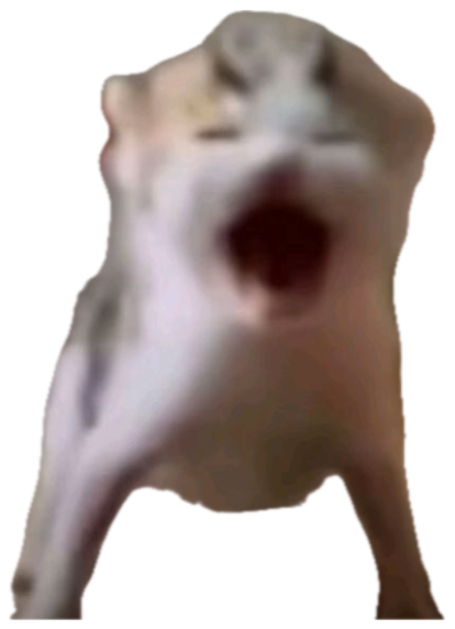 Blurry white cat standing on hind legs mid-scream with its mouth wide open sticker