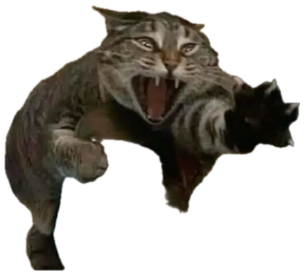 Tabby cat held up mid-air, hissing with claws out and mouth wide open sticker