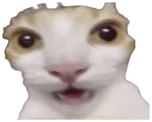 White cat with mouth wide open, caught mid-scream in close-up sticker
