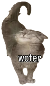 Grey cat blissfully tilting its head up in a shower captioned 'woter' sticker