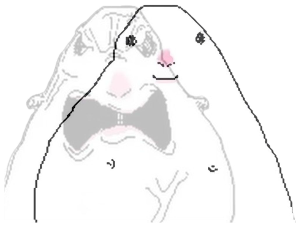 Chubby cartoon dog-blob wearing a bow tie with a subtle smug smile sticker