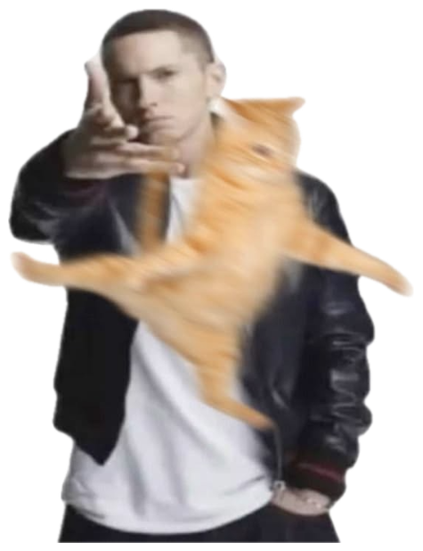 Eminem pointing at the camera with a photoshopped ginger cat merged into his jacket sticker