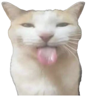 White and orange cat sticking its tongue out with half-closed unimpressed eyes sticker