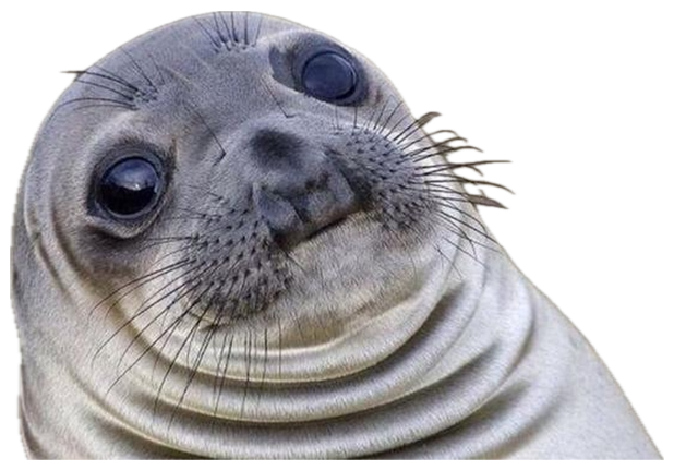 Wide-eyed seal tilting its head with a deeply awkward, uncomfortable stare sticker