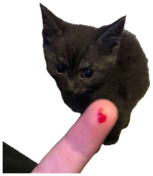 Tiny black kitten glaring flatly at a fingertip offered up to it sticker