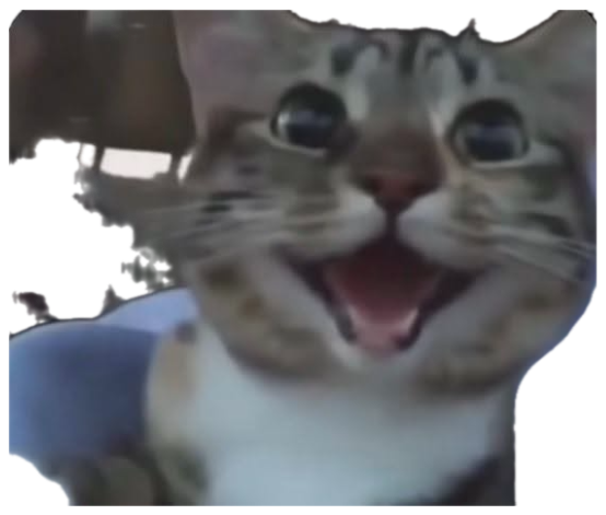 Wide-eyed tabby cat with mouth open in a thrilled, ecstatic grin sticker