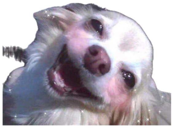 Fluffy white dog beaming up close with pink hearts and sparkles added sticker