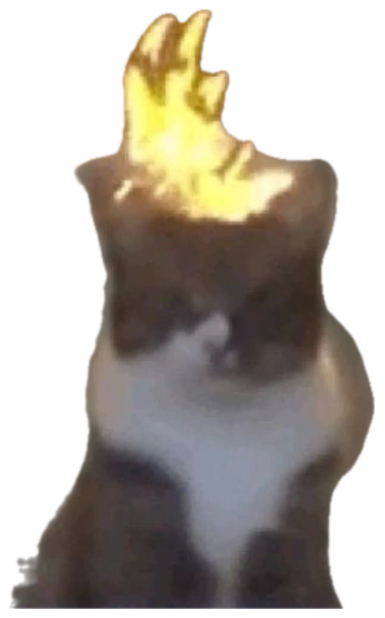 Cat sitting perfectly still with its head on fire and a totally deadpan face sticker