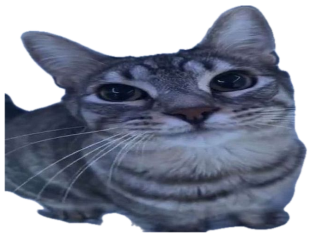 Tabby cat staring dead into your soul captioned 'That's it. Im telling a trusted adult on you' sticker