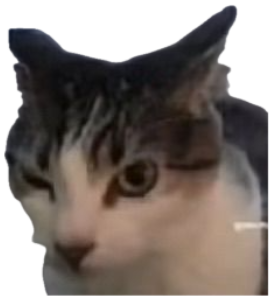 Tabby cat tilting its head with a question mark above it, utterly confused sticker