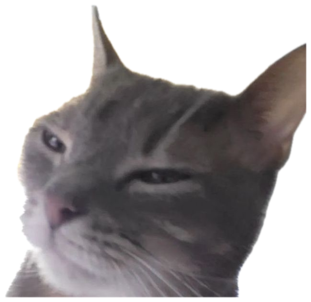 Smug grey cat delivering its sincerest reaction to the information you provided sticker