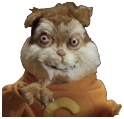 Uncanny puppet cat in an orange hoodie with bulging wide eyes and a frozen stare sticker