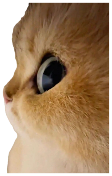 Extreme close-up of an orange cat's profile and its wide glassy eye sticker