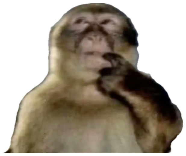 Barbary macaque staring straight ahead with hand resting on its chin, deep in thought sticker