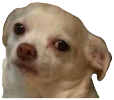 Pale Chihuahua staring dead into your soul with maximum side-eye energy sticker