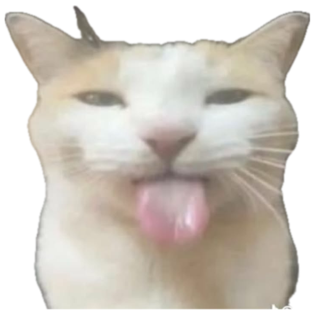 Cream cat sticking its tongue out with the caption 'u don't need a drivers license to ride me :3' sticker