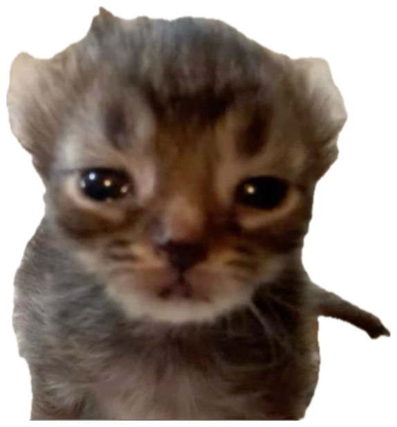 Tiny grey kitten with giant dark puppy eyes staring up with maximum heartbreak energy sticker