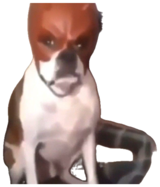 Dog with an angry frowning face glaring straight at the camera sticker