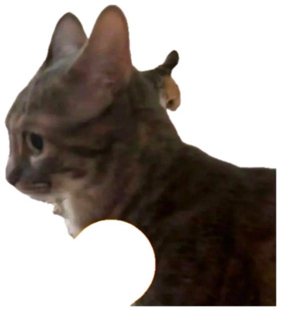 Gray cat looking away with a side-eye emoji placed over it, another cat lurking behind sticker