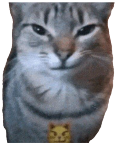 Gray tabby cat staring straight ahead with a knowing, slightly sinister smug expression sticker