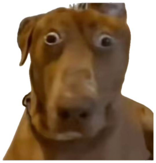 Brown dog with bulging wide eyes frozen in total shock sticker