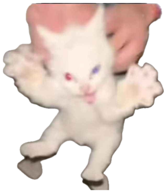A white kitten held up with both paws out and a wild wide-eyed panicked look sticker