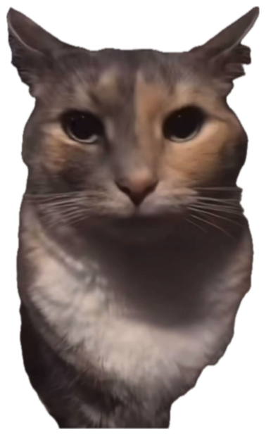 Calico cat sitting up close and staring flatly into the camera in a dim room sticker