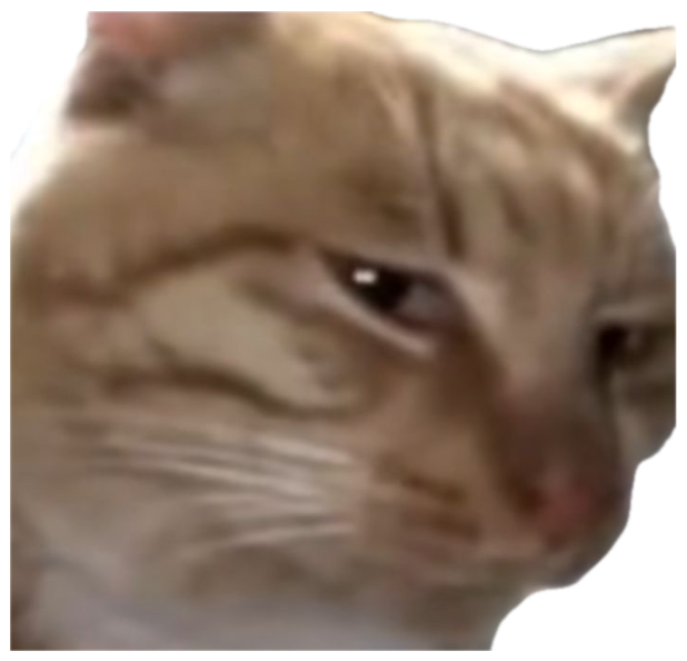 Orange cat with a smug, knowing side-eye and a sly little smirk sticker