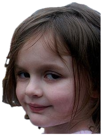 The Disaster Girl smirking slyly at the camera as a house burns behind her sticker