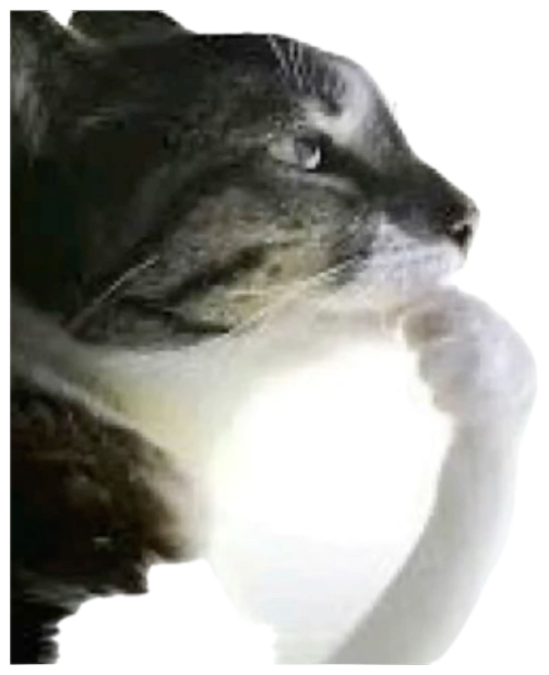 Cat in profile resting a paw to its chin like it's deep in scheming thought sticker