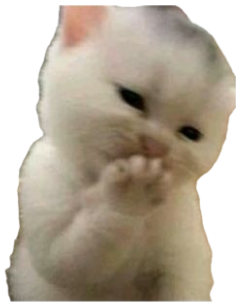Tiny fluffy white kitten standing upright and rubbing paws together thoughtfully sticker
