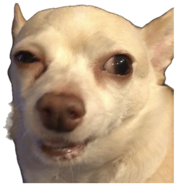 White chihuahua in front of a Christmas tree giving a skeptical, squinting side-eye sticker