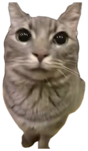 Wide-eyed gray cat with an accusatory red arrow pointing at it next to 'WHAT DOES HE EVEN DO?' sticker