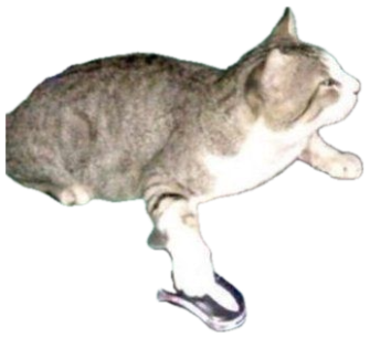 Tabby cat sprawled at a laptop, one paw on the keyboard and one on the mouse sticker