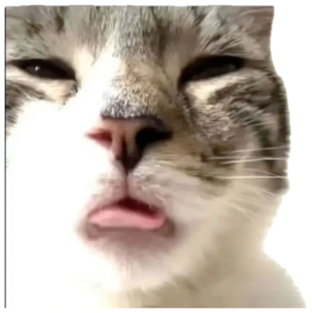 Squinting cat with a smug open-mouth face captioned 'Freak level: infinity' sticker