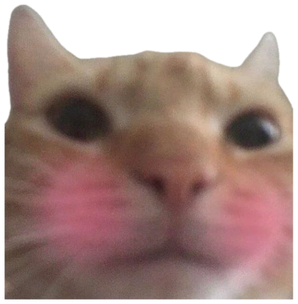 Blurry orange cat pressed to the camera with bright pink blushing cheeks sticker