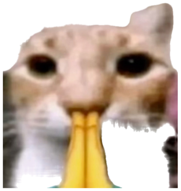 Close-up cat with a praying-hands emoji over its mouth staring blankly at the camera sticker