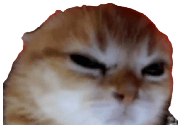 Fluffy cat scowling straight at the camera against a red glow, absolutely furious sticker
