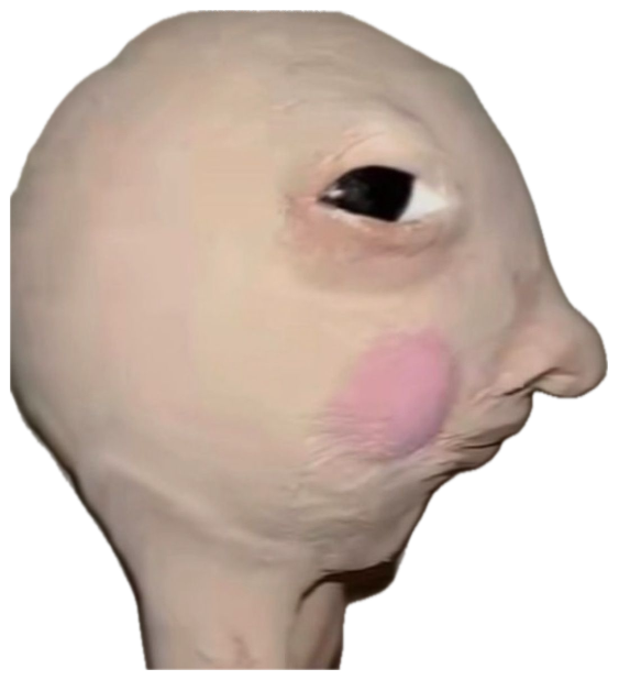 Warped hairless cat face captioned 'POV: that one kid during a test' sticker