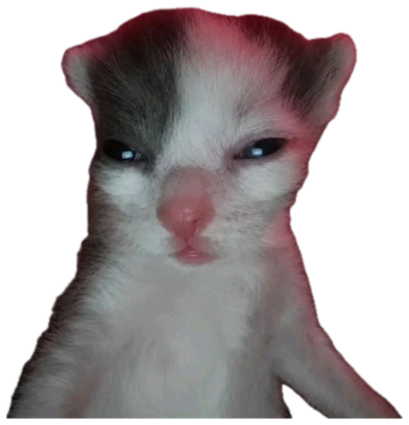 Tiny kitten with a narrow-eyed, menacing squint captioned 'Try me bitch' sticker